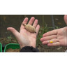 Стопор DAIWA N'ZON Stop speed для насадки 13308-100